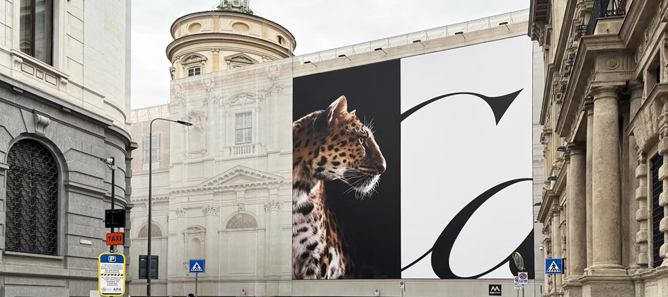 Cartier and WPP Media debut panther campaign across key cities